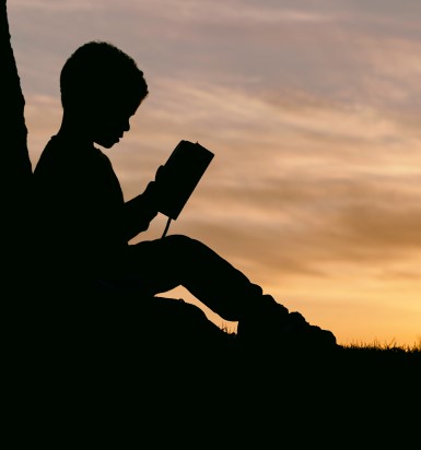 Boy reading under tree. Find more images at www.Unsplash.com